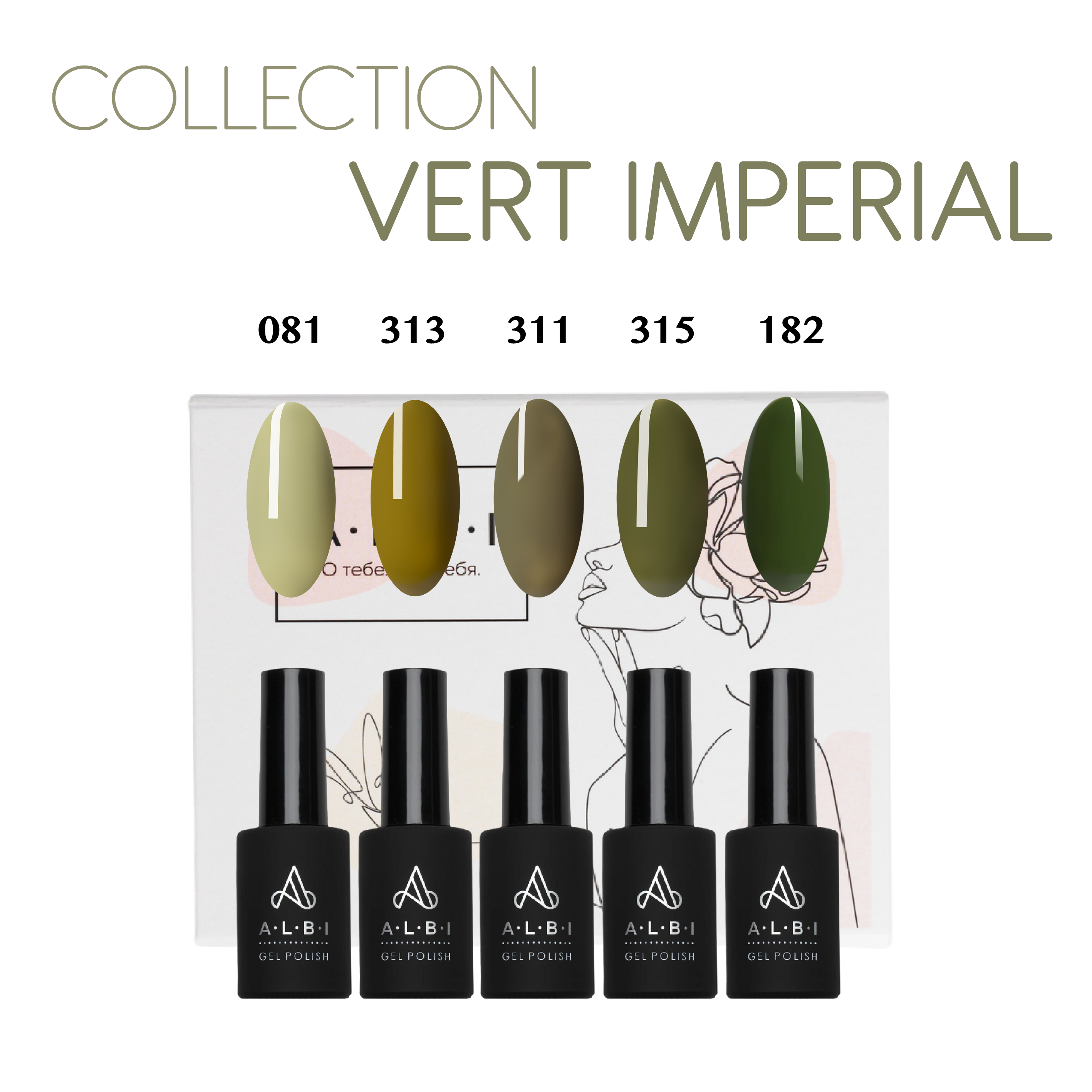 Collection Vert Impérial VSP Albi 4 + 1 offert