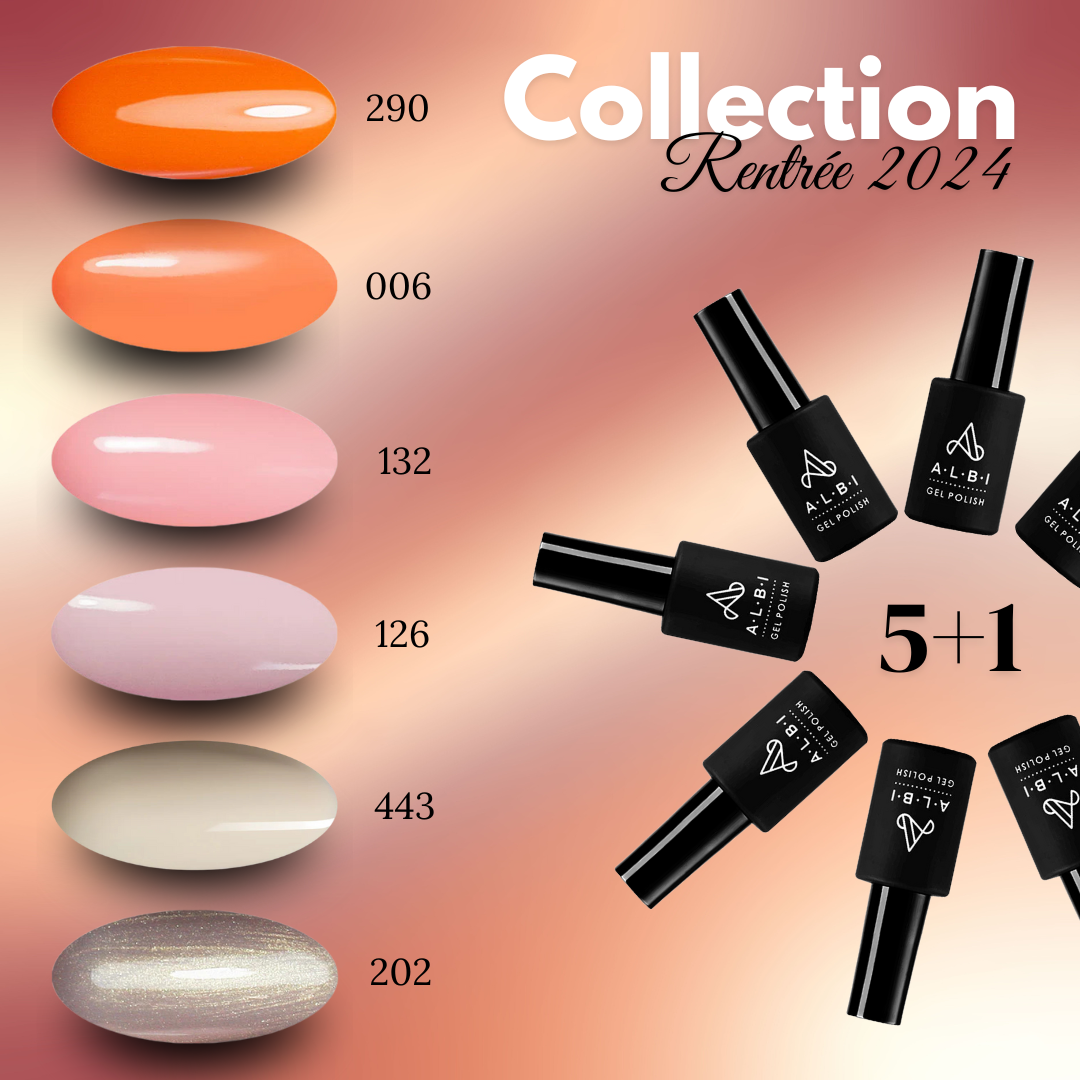 vsp collection rentre albi - ongles pro